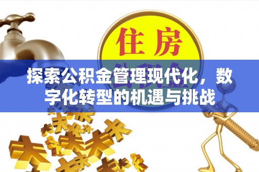 元谋探索公积金管理现代化，数字化转型的机遇与挑战