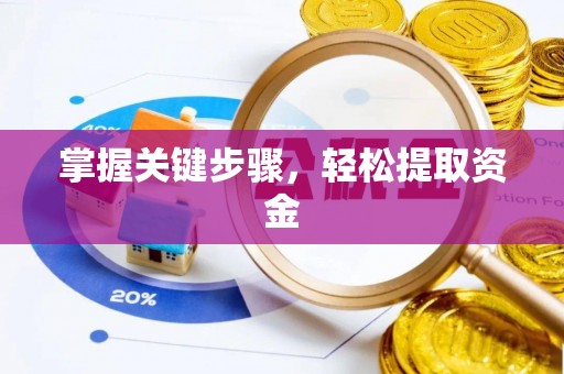 元谋掌握关键步骤，轻松提取资金