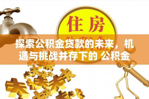 元谋探索公积金贷款的未来，机遇与挑战并存下的 公积金贷款风险防控