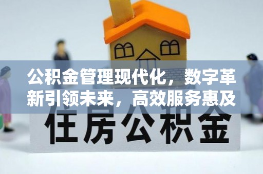 元谋公积金管理现代化，数字革新引领未来，高效服务惠及民生