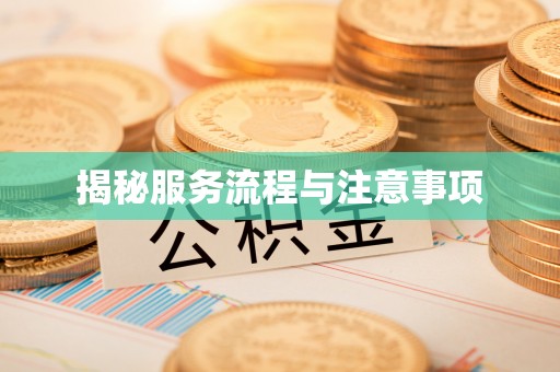 元谋揭秘服务流程与注意事项
