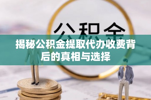 元谋揭秘公积金提取代办收费背后的真相与选择