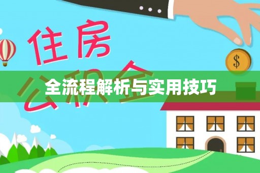 元谋全流程解析与实用技巧