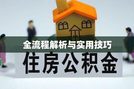 元谋全流程解析与实用技巧