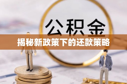 元谋揭秘新政策下的还款策略