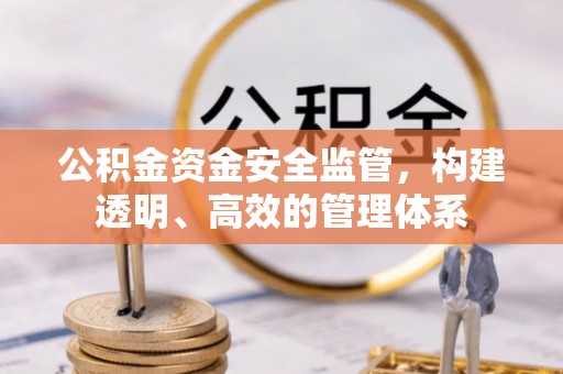 元谋公积金资金安全监管，构建透明、高效的管理体系