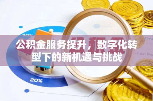 元谋公积金服务提升，数字化转型下的新机遇与挑战
