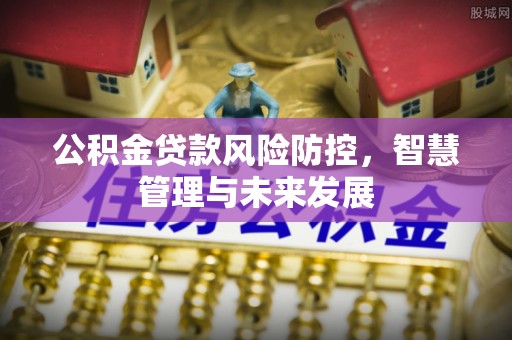元谋公积金贷款风险防控，智慧管理与未来发展