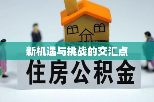 元谋新机遇与挑战的交汇点