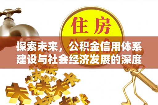 元谋探索未来，公积金信用体系建设与社会经济发展的深度融合