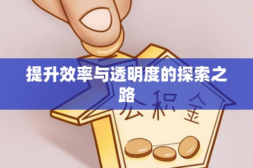元谋提升效率与透明度的探索之路