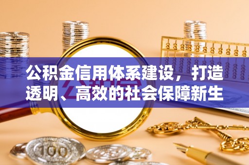 元谋公积金信用体系建设，打造透明、高效的社会保障新生态