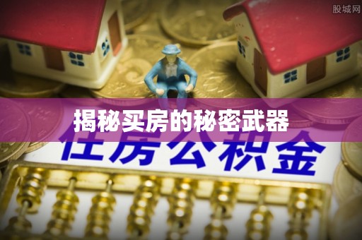 元谋揭秘买房的秘密武器