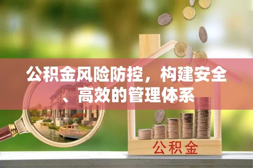 元谋公积金风险防控，构建安全、高效的管理体系
