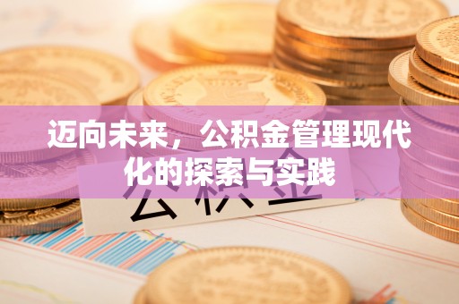 元谋迈向未来，公积金管理现代化的探索与实践