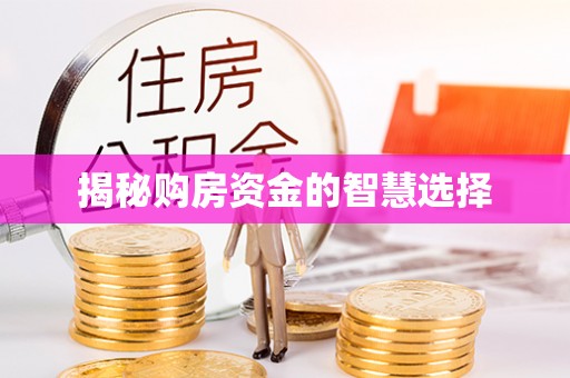 元谋揭秘购房资金的智慧选择