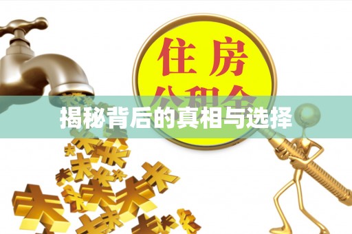 元谋揭秘背后的真相与选择