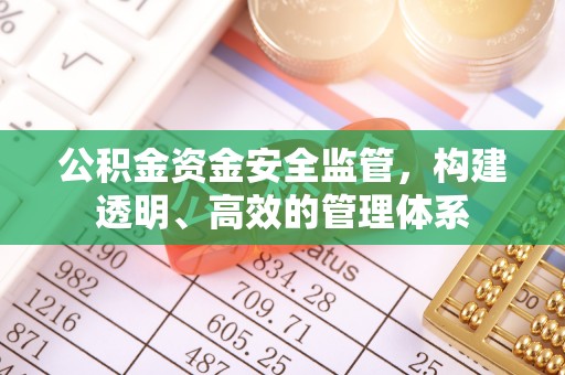 元谋公积金资金安全监管，构建透明、高效的管理体系