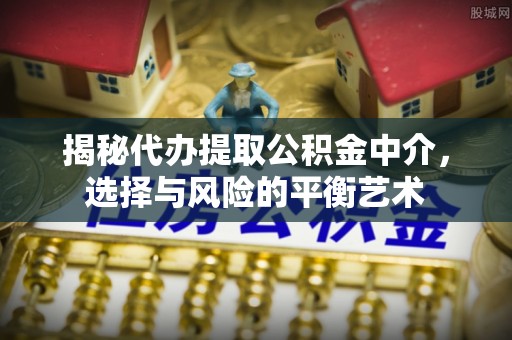 元谋揭秘代办提取公积金中介，选择与风险的平衡艺术