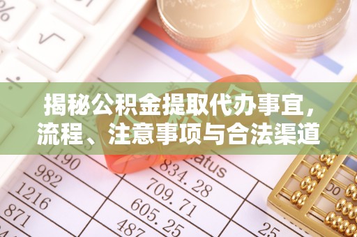 元谋揭秘公积金提取代办事宜，流程、注意事项与合法渠道