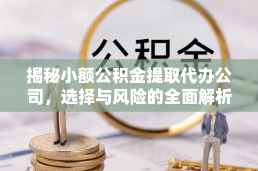 元谋揭秘小额公积金提取代办公司，选择与风险的全面解析