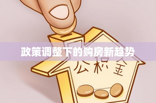 元谋政策调整下的购房新趋势