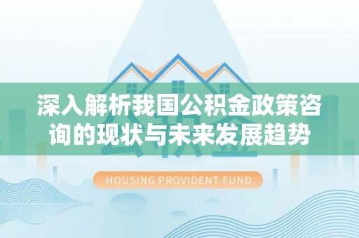 元谋深入解析我国公积金政策咨询的现状与未来发展趋势