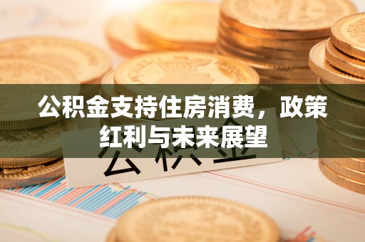 元谋公积金支持住房消费，政策红利与未来展望