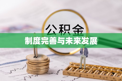 元谋制度完善与未来发展