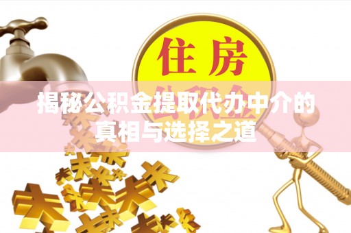 元谋揭秘公积金提取代办中介的真相与选择之道