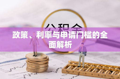 元谋政策、利率与申请门槛的全面解析