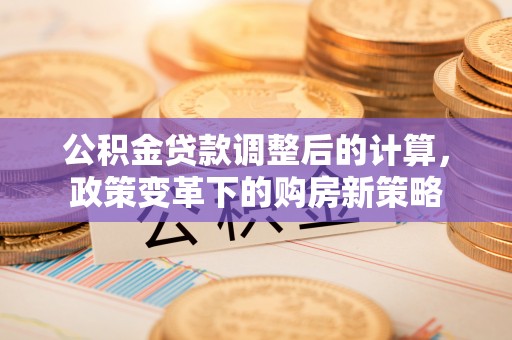 元谋公积金贷款调整后的计算，政策变革下的购房新策略
