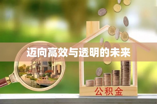 元谋迈向高效与透明的未来