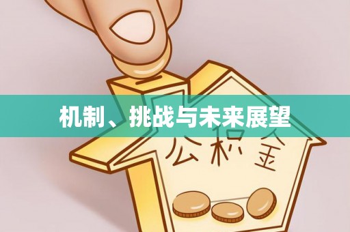元谋机制、挑战与未来展望