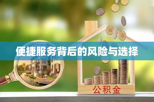 元谋便捷服务背后的风险与选择