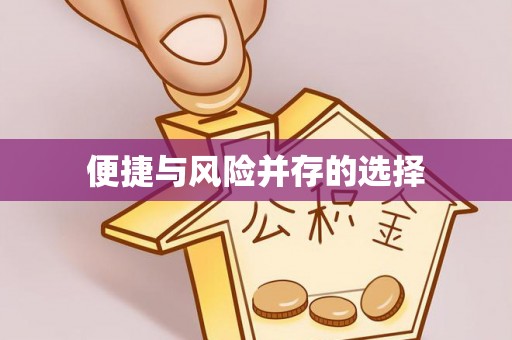 元谋便捷与风险并存的选择
